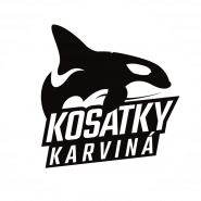 Kosatky Karviná-oddíl plavání, z.s.