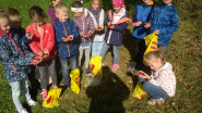 Základní škola Pod Skalkou, Rožnov p. R., příspěvková organizace