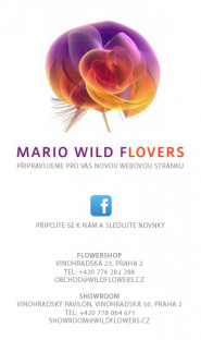 Mário Wild s.r.o.