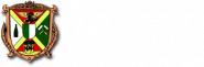 Město Nové Sedlo