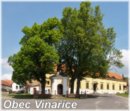 Obec Vinařice