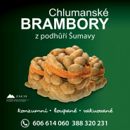 Obec Chlumany