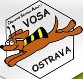 OSA VOSA