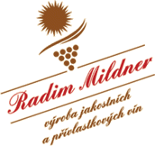 Ing. Radim Mildner