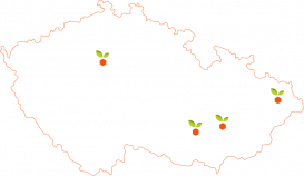 Politických vězňů 1272/21, 11000 Praha