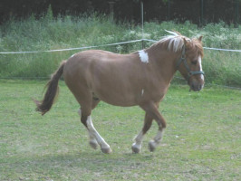 Horní Jirčany 203, 25242 Jesenice