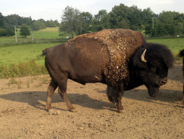 nám. E. Beneše 96, 39901 Milevsko