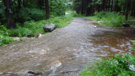 Na Žabinci ul., 58001 Havlíčkův Brod